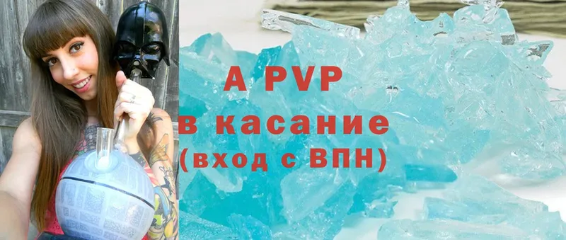 хочу   Пугачёв  shop телеграм  A PVP СК 